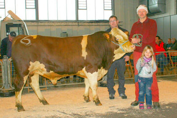 Spitzenbulle Radgip mit seinem Zchter Klaus Riesle aus Gtenbach (rechts) und dem neuen Besitzer Bernd Marterer und seiner Tochter aus Frhnd- Oberhepschingen. Neben bestem Pedigree berzeugte der Bulle in Wuchs und Bemuskelung.