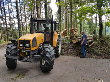 Die aktuelle Waldschutzsituation in Baden-Wrttemberg ist sehr angespannt. Vielerorts steht jetzt das Aufrumen und Aufarbeiten von Sturmholz an. Der heie und trockene Frhsommer, lokale Sturmereignisse sowie ein hoher Ausgangsbestand an Borkenkfern, haben die Waldschden in fast allen Landesteilen deutlich ansteigen lassen.