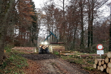  Holzernte im Altdorfer Wald im Landkreis Ravensburg: Die nachhaltige Waldnutzung soll auch knftig die wichtige Rolle spielen, wenngleich je nach Standort weitere Ziele mit Schwerpunkten im Natur- und Landschaftsschutz oder fr erneuerbare Energien (Windkraft) hinzukommen werden. 