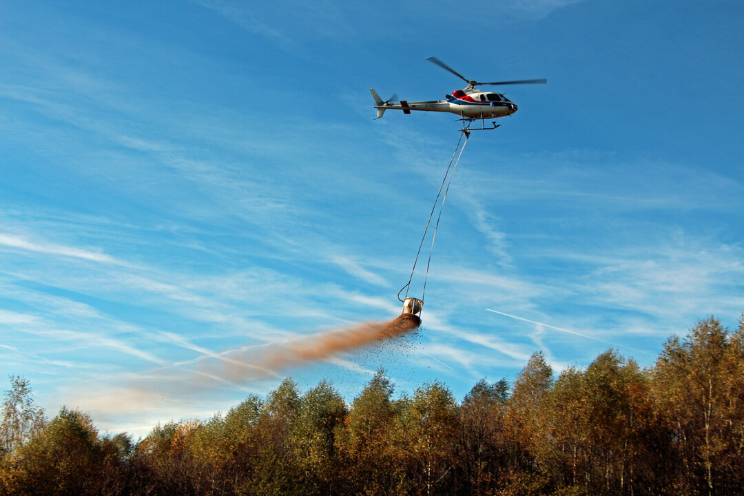 Die Erhaltung bzw. Wiederherstellung der Filter-, Puffer- und Speicherfunktionen der Waldbden und damit die Sicherung der Stabilitt des Waldes ist ein Ziel der Waldkalkung.