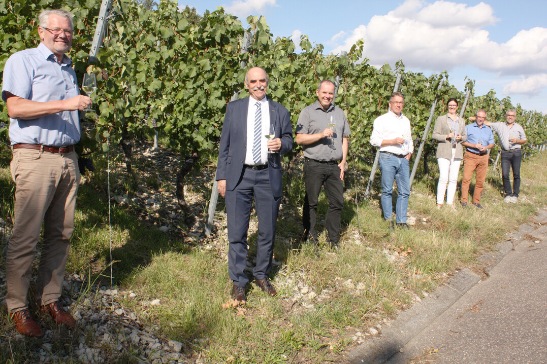 Alois Gerig (l.) setzt sich im Weinberg mit der Kritik der Winzervertreter am Entwurf zum neuen Weingesetz auseinander: v. r. Andreas Oehm, Otto Guthier, Vorsitzender hessische Bergstraße, Ute Bader, Baden-Württembergischer Genossenschaftsverband, Thomas Walz, Vizepräsident des Badischen Weinbauverbands und des DWV, Hans Albrecht Zieger, Präsident des Weinbauverbands Saale-Unstrut und Frankens Weinbaupräsident Artur Steinmann.