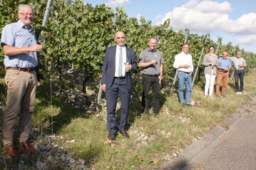 Alois Gerig (l.) setzt sich im Weinberg mit der Kritik der Winzervertreter am Entwurf zum neuen Weingesetz auseinander: v. r. Andreas Oehm, Otto Guthier, Vorsitzender hessische Bergstrae, Ute Bader, Baden-Wrttembergischer Genossenschaftsverband, Thomas Walz, Vizeprsident des Badischen Weinbauverbands und des DWV, Hans Albrecht Zieger, Prsident des Weinbauverbands Saale-Unstrut und Frankens Weinbauprsident Artur Steinmann. 
