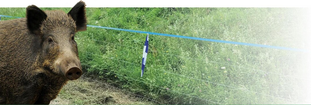 Durch ihre blaue Farbe werden die Wildzune von Patura gut von Wildtieren wahrgenommen. 