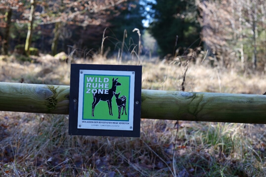 Wildruhezonen sollen Wildtiere vor menschlichen Strungen schtzen. Diese knnen auch dabei helfen die Wildschden durch Rotwild zu minimieren.