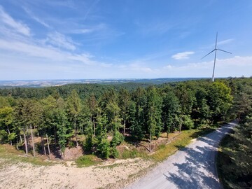 Zwischen 2012 und 2022 hat ForstBW bereits rund 8000 Hektar Potenzialflchen verpachtet. Zum aktuellen Zeitpunkt (September 2022) drehen sich auf einem Teil dieser Flchen bereits 103 Windenergieanlagen.