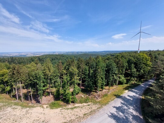 Zwischen 2012 und 2022 hat ForstBW bereits rund 8000 Hektar Potenzialflchen verpachtet. Zum aktuellen Zeitpunkt (September 2022) drehen sich auf einem Teil dieser Flchen bereits 103 Windenergieanlagen.