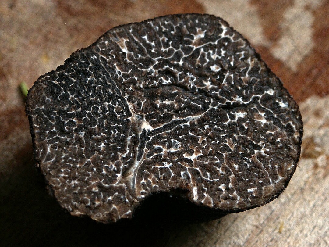 Trüffel