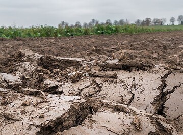 Wägen Sie die jeweiligen Vor- sowie Nachteile der Winterfurche für Ihren Betrieb genau ab.