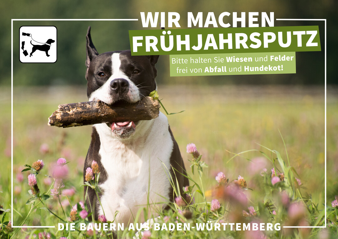Das Motiv der Kampagne "Wir machen Frühjahrsputz".