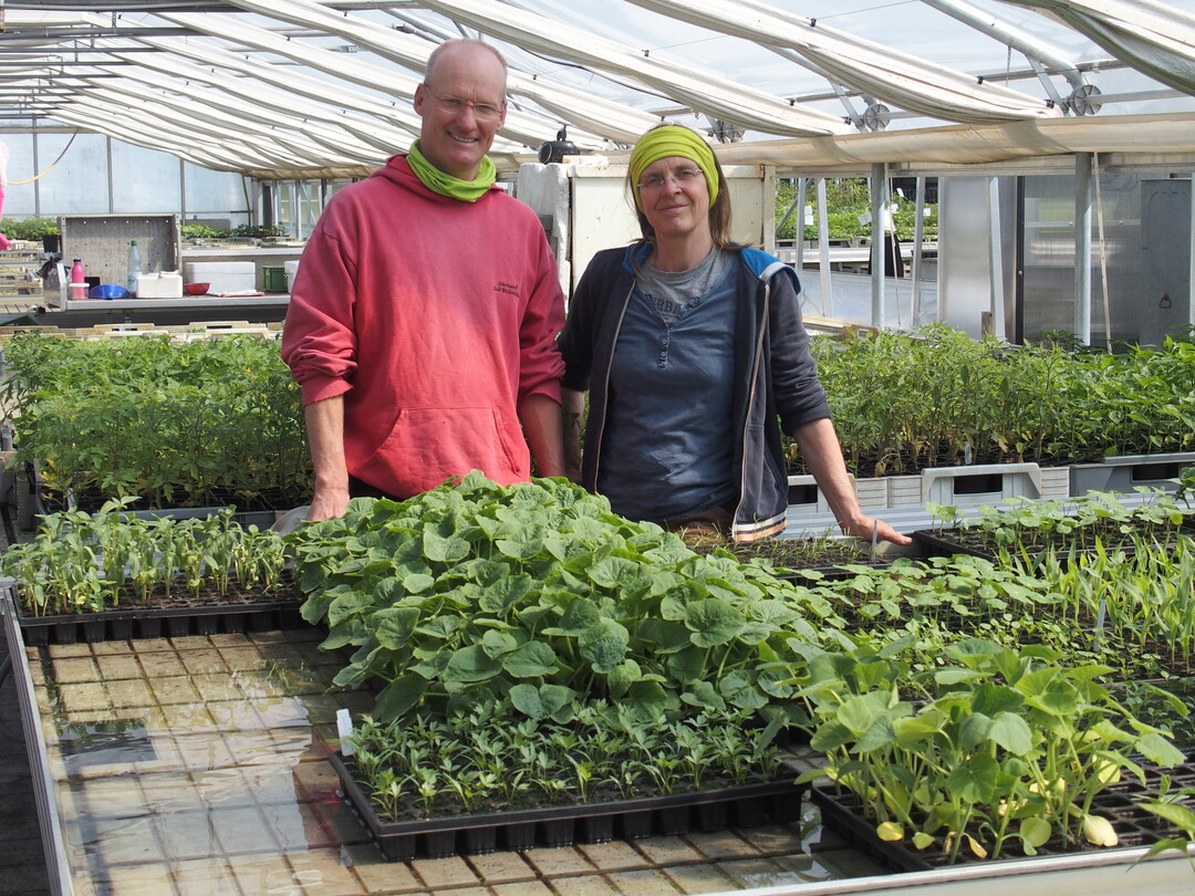 Bettina und Oliver Holst betreiben seit über 20 Jahren die dem Wulksfelder Gut angegliederte, selbstständige Gärtnerei.