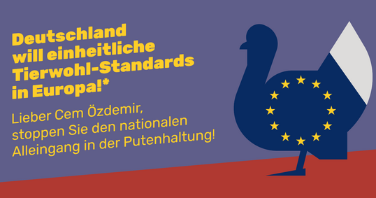 Der ZDG hat eine Anzeigenkampagne gestartet. Darin fordert der Verband den Landwirtschaftsminister dazu auf, sich fr EU-weit geltende Haltungsstandards in der Putenhaltung einzusetzen.