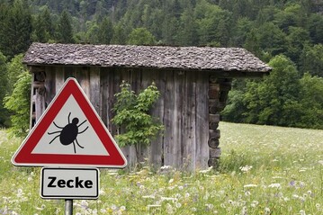 Mit dem Frhjahr kommen die Zecken