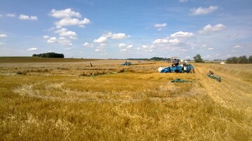 Zuchtgartenernte in Feldkirchen